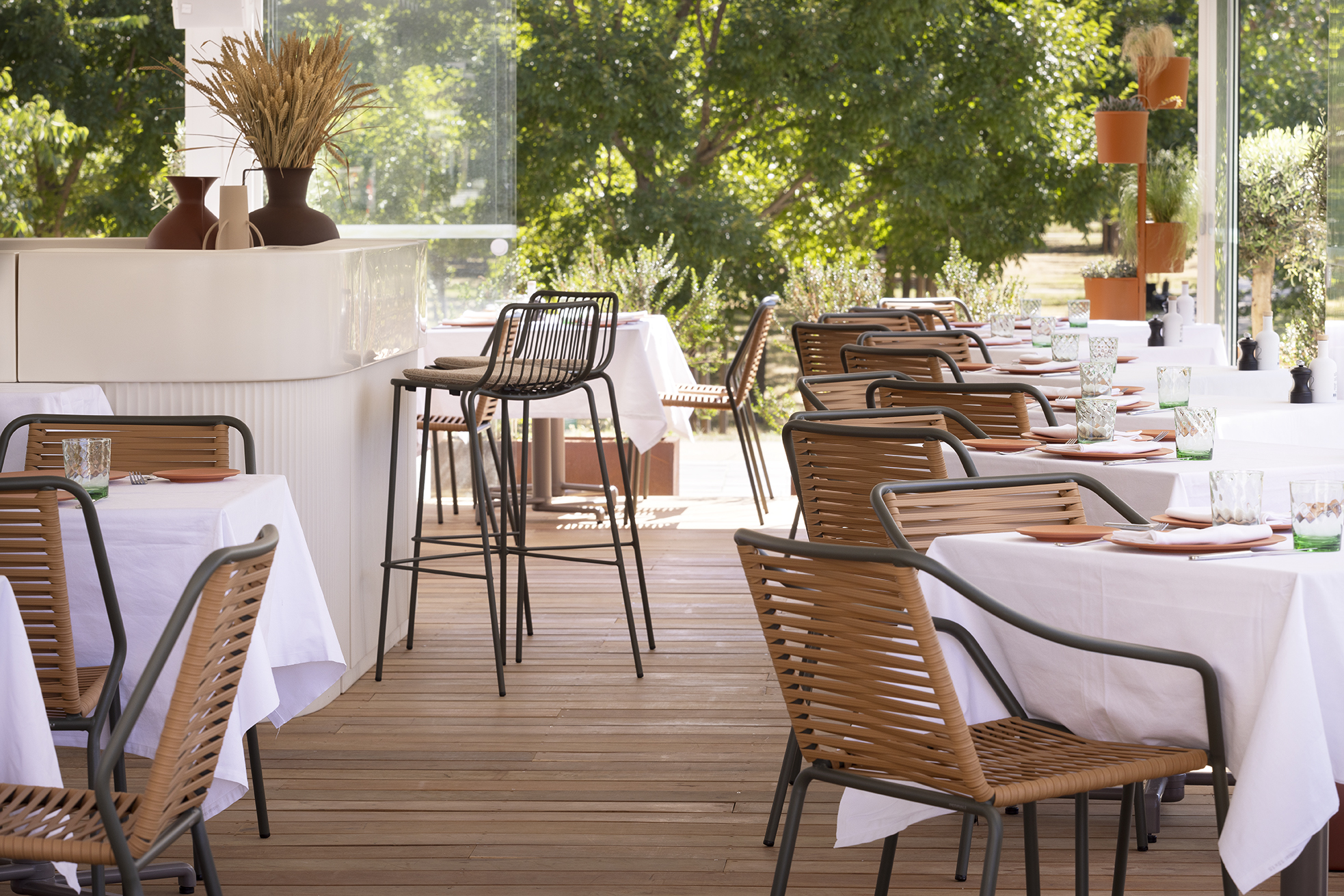 Terrasse Lattara